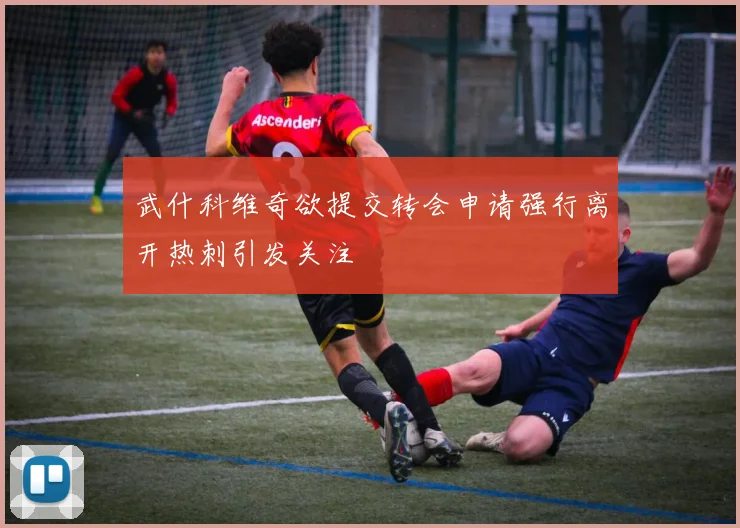 武什科维奇欲提交转会申请强行离开热刺引发关注